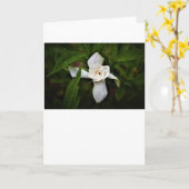 Gardenia, kaart (Gele Bloem)