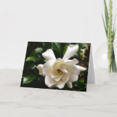 Gardenia, Kaart (Voorkant)