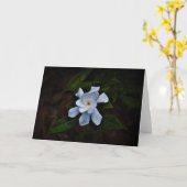 Gardenia, kaart (Gele Bloem)