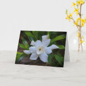 Gardenia, kaart (Gele Bloem)