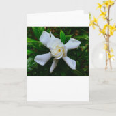 Gardenia, kaart (Gele Bloem)