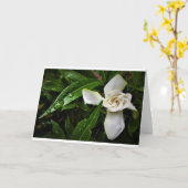 Gardenia, kaart (Gele Bloem)