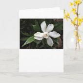 Gardenia, kaart (Gele Bloem)