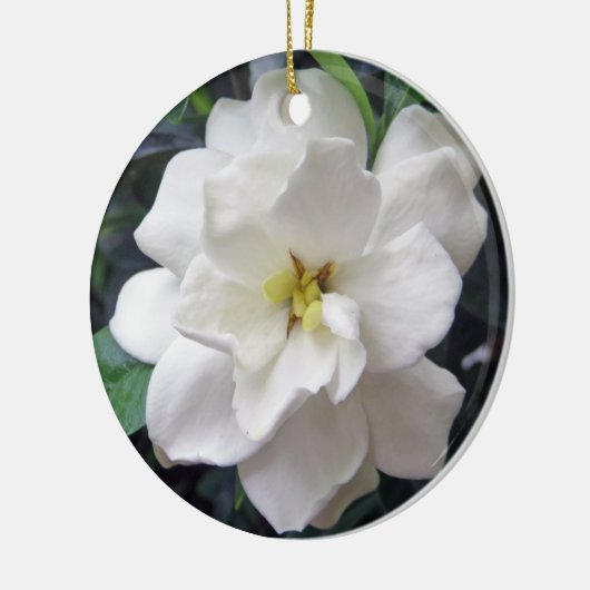 Gardenia Keramisch Ornament (Links)