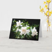 Gardenia, lege kaart (Gele Bloem)