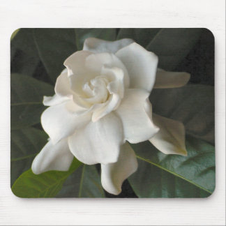 Gardenia Mousepad Muismat