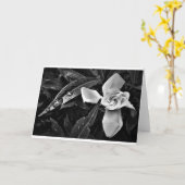 Gardenia - Noir, kaart (Gele Bloem)