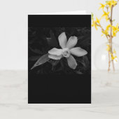 Gardenia - noir, kaart (Gele Bloem)