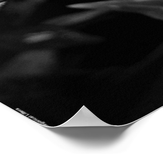 Gardenia - Noir, Poster (Hoek)