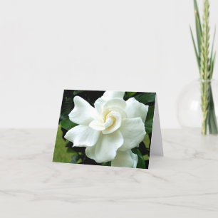 Gardenia Note Kaart