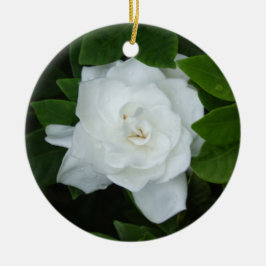 Gardenia Ornament