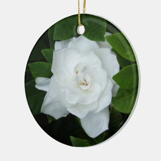 Gardenia Ornament (Links)