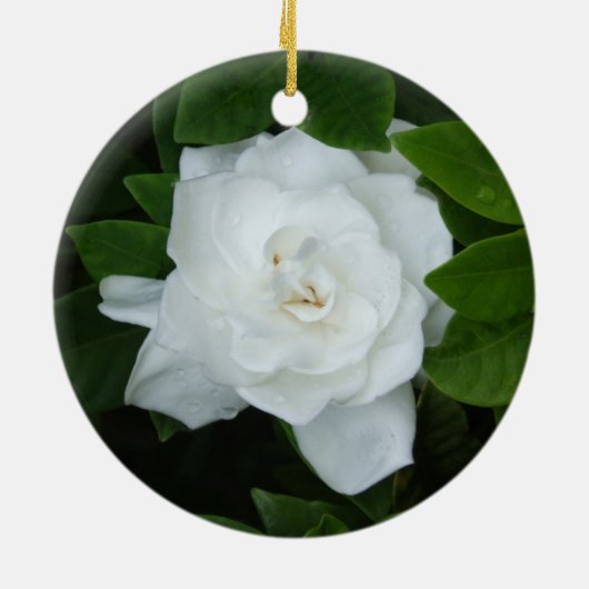Gardenia Ornament (Achterkant)