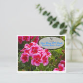 Gardenia Postcard Briefkaart (Staand voorkant)