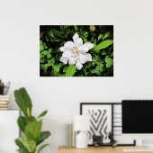 Gardenia Poster (Thuiskantoor)