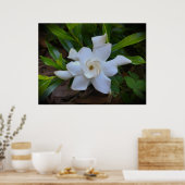 Gardenia Poster (Keuken)