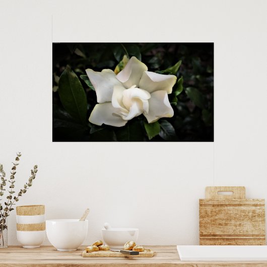 Gardenia Poster (Keuken)