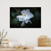 Gardenia Poster (Keuken)