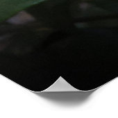 Gardenia Poster (Hoek)