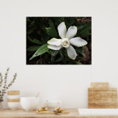 Gardenia Poster (Keuken)