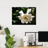 Gardenia Poster (Thuiskantoor)