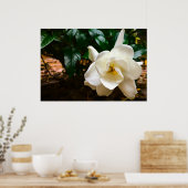 Gardenia Poster (Keuken)