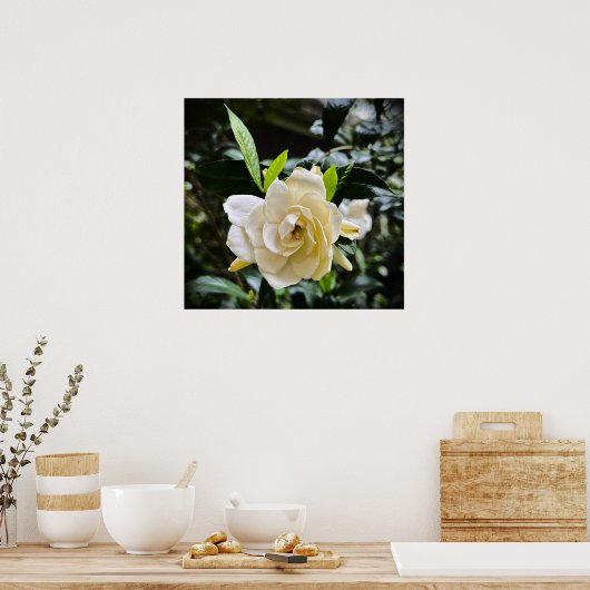 Gardenia Poster (Keuken)