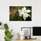 Gardenia Poster (Thuiskantoor)