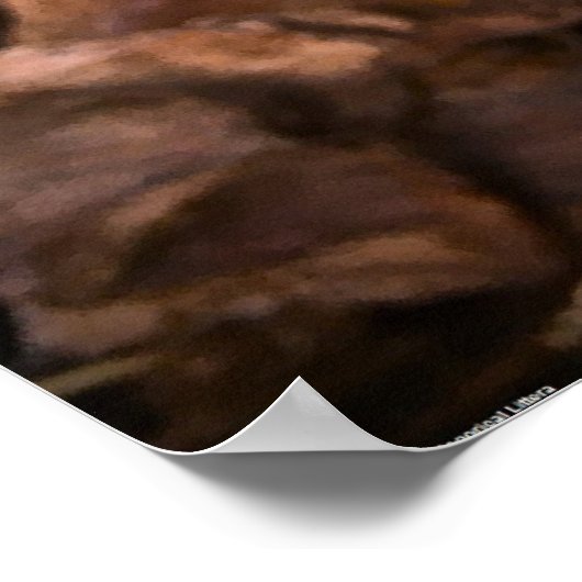 Gardenia Poster (Hoek)