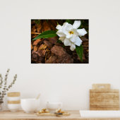 Gardenia Poster (Keuken)