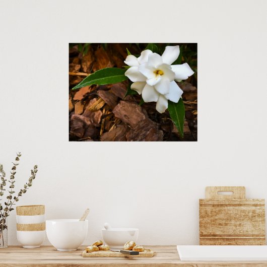 Gardenia Poster (Keuken)