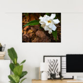 Gardenia Poster (Thuiskantoor)