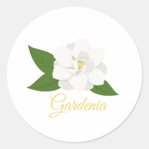 Gardenia Ronde Sticker