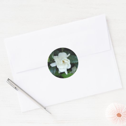 Gardenia Ronde Sticker (Envelop)