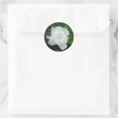 Gardenia Sticker (Tas)