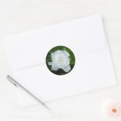 Gardenia Sticker (Envelop)