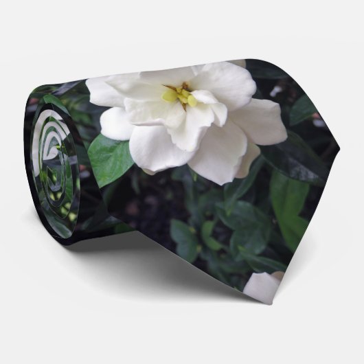 Gardenia Stropdas (Opgerold)