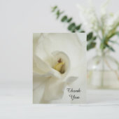 Gardenia Sympathie Dank u Briefkaart (Staand voorkant)