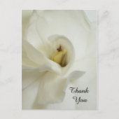 Gardenia Sympathie Dank u Briefkaart (Voorkant)