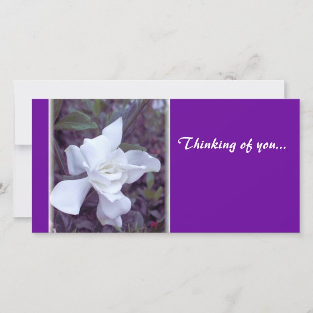 Gardenia tint denken aan jou... (Voorkant)