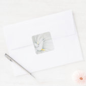 Gardenia Vierkante Sticker (Envelop)