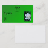 Gardenia Visitekaartje (Voorkant / Achterkant)