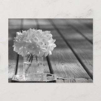 Gardenias Briefkaart