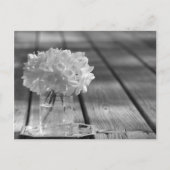 Gardenias Briefkaart (Voorkant)