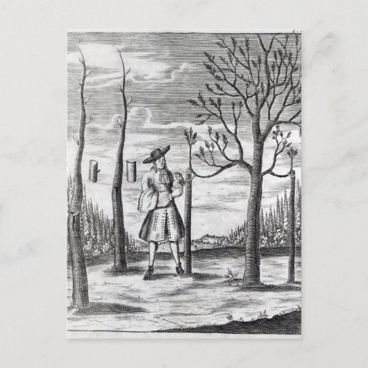 Gardening en Plant Maladies Briefkaart (Voorkant)