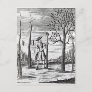 Gardening en Plant Maladies Briefkaart