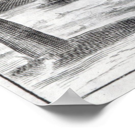 Gardening en Plant Maladies Poster (Hoek)