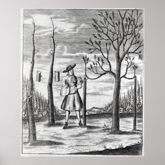 Gardening en Plant Maladies Poster (Voorkant)