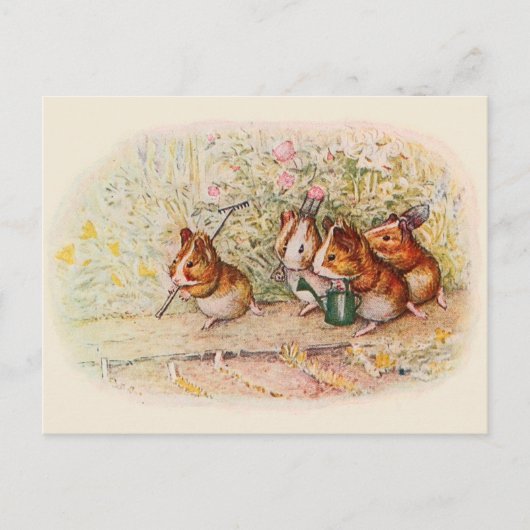 Gardening Guinee Varkens Ontvangen Kaarten (Voorkant)