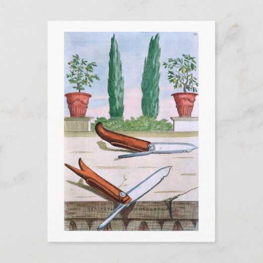 Gardening Knife uit 'Hesperides' door Giovanni Bat Briefkaart (Voorkant)